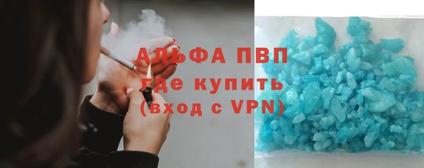индика Горняк