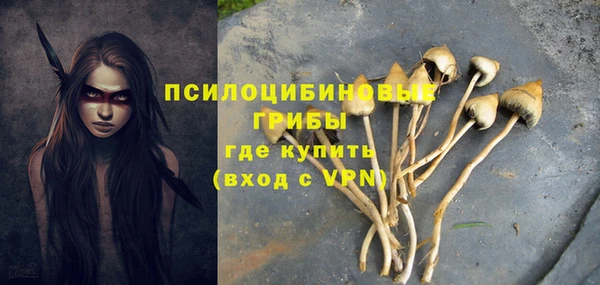 дурь Заволжск