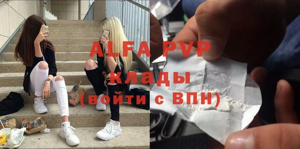PSILOCYBIN Горно-Алтайск