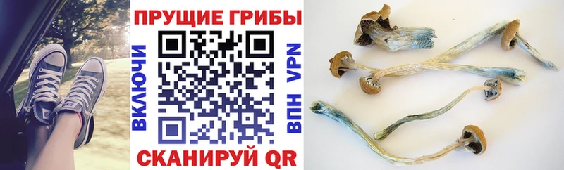 Псилоцибиновые грибы прущие грибы Железноводск